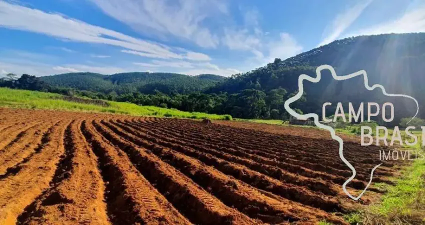 Sítio de dupla aptidão com 9 alqueires  100% tratorável em Jambeiro! Com muita água!!!
