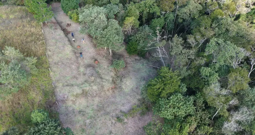 Te00208 - terreno à venda em bairro selecionado, oportunidade imperdível, em são roque - sp