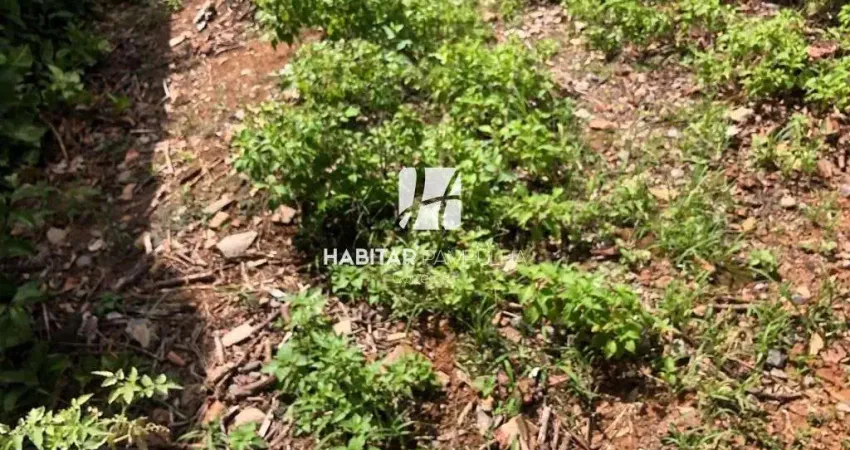 Terreno comercial para alugar na Santa Amélia, Belo Horizonte 