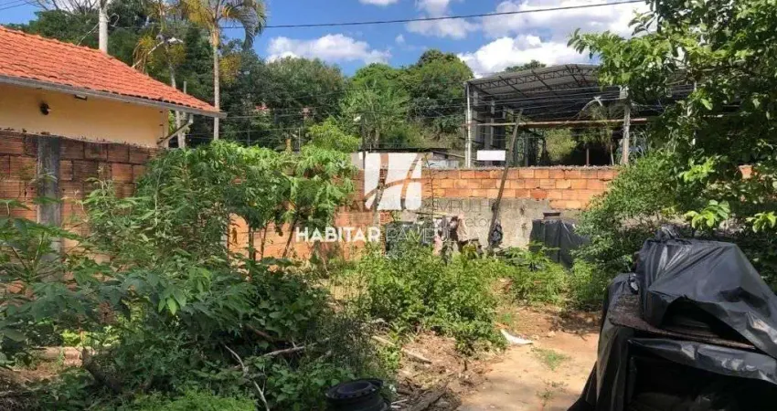 Terreno comercial para alugar na Santa Amélia, Belo Horizonte 