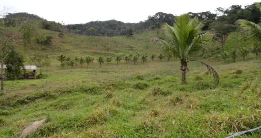 Chácara / sítio à venda na Zona Rural, Antônio Dias 