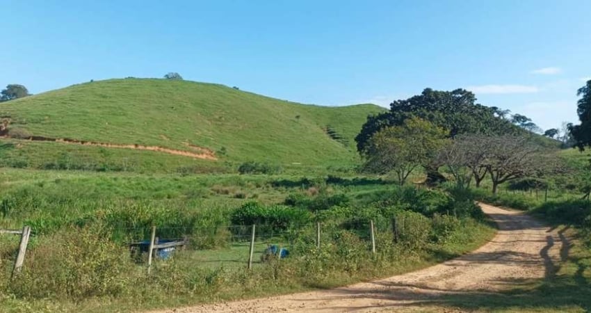 Fazenda Terreno Rural Córrego Novo - MG - Zona Rural