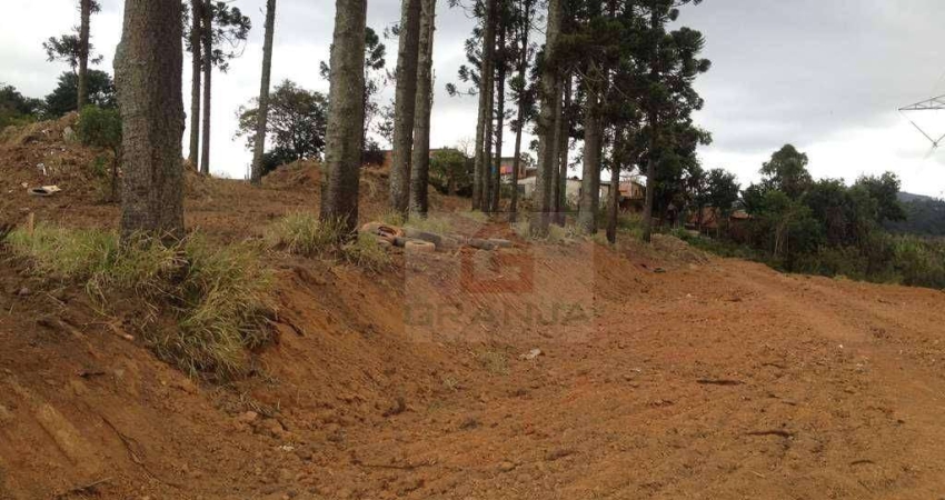 Área à venda por R$ 2.150.000,00 - Granja Viana - Cotia/SP