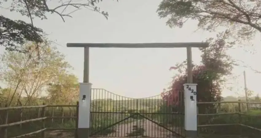 Haras para venda em porto feliz, centro, 1 dormitório, 4 banheiros, 50 vagas