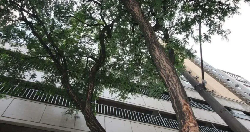 Garagem comercial à venda em lourdes, belo horizonte-mg: 1 vaga e 1.070,00m² de área