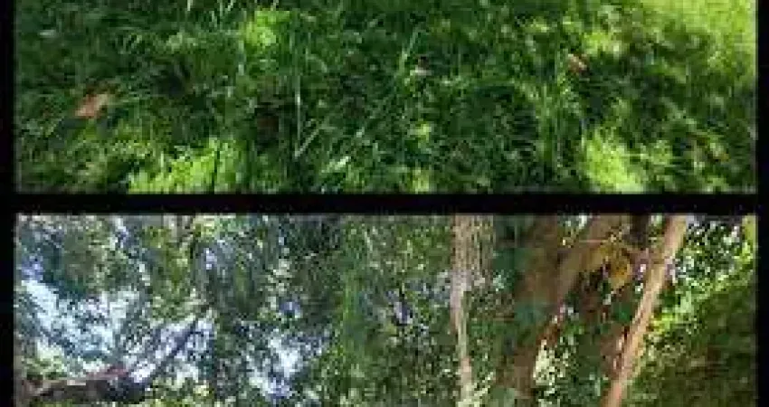 Casa com 6 dormitórios à venda, 243 m² por r$ 1.160.000,00 - colinas de indaiatuba - indaiatuba/sp