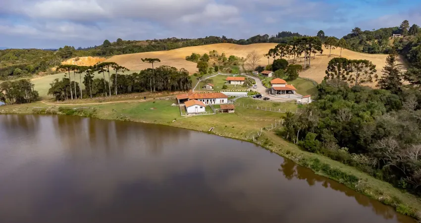 Belíssimo sítio ao lado da colônia marcelino em são josé pinhais/pr (metade do preço)