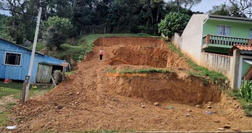 Terreno à venda na Hemetério Torres, 220, Jardim Viviane, Campo Magro