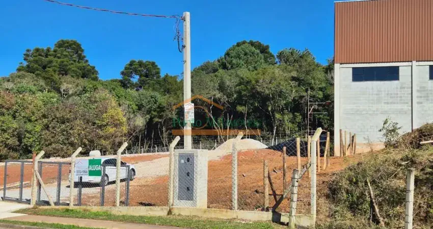 Barracão / Galpão / Depósito para alugar na Rua José Muzniski, 106, Mato Limpo, Campo Magro