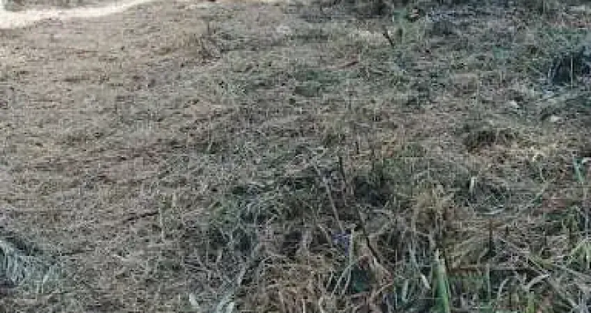 Terreno à venda na Rua das Margaridas, Loteamento Vale das Flores, Atibaia