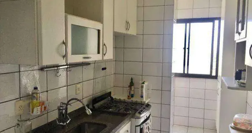Apartamento com 2 dormitórios para alugar, 65 m² por R$ 3.335,00/mês - Jardim Aquarius - São José dos Campos/SP