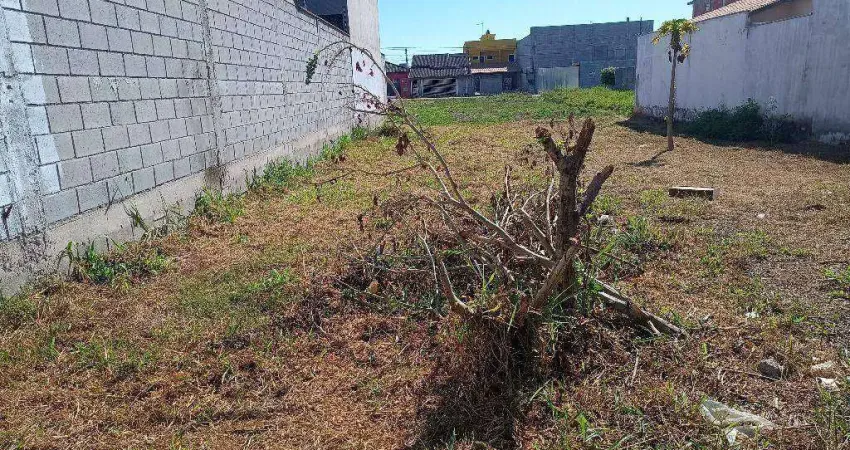 Terreno à venda, 156 m² por R$ 120.000,00 - Residencial Esperança - Caçapava/SP