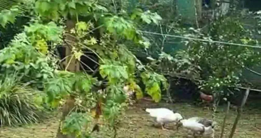 Terreno à venda, 192 m² por r$ 200.000,00 - praia do itamambuca - ubatuba/sp