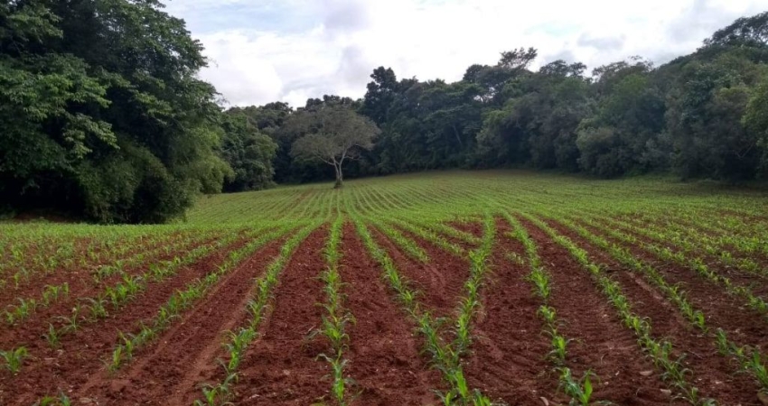 Chácara / sítio com 1 quarto à venda na Praça Dom Otávio, 100, Zona Rural, Turvolândia