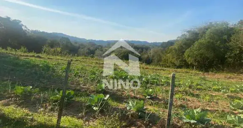 Chácara a venda, 20.000 m² por r$ 600.000,00 - costa ipiranga - gravatai/rs