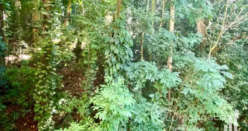 Apartamento com vista verde