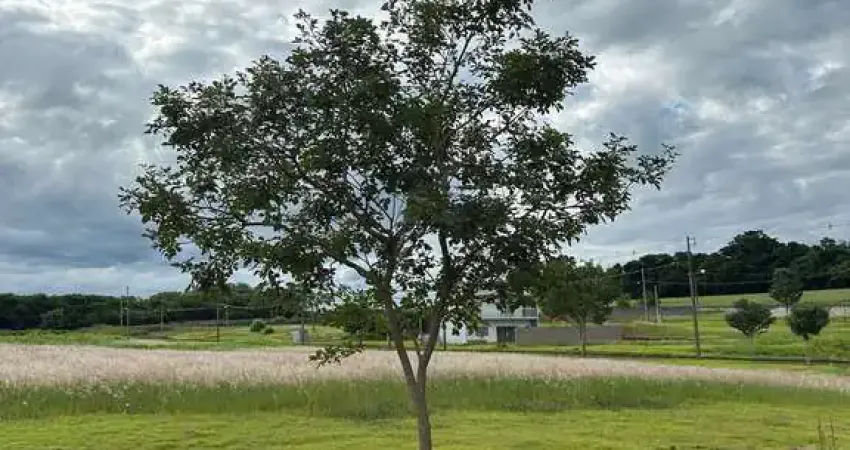 Terreno à venda na Rod. Pr 317, Zona Rural, Floresta