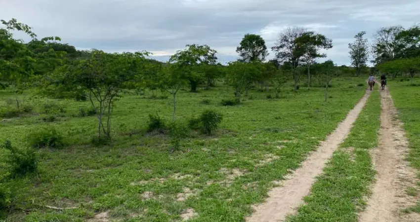 Oportunidade única: Fazenda à venda em Boa Vista do Tupim-BA, com 4 quartos, 2 salas, 3 banheiros e 996 hectares de área!