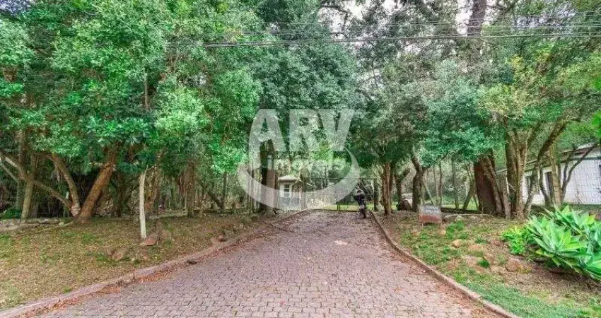 Terreno comercial para alugar no Pedra Redonda, Porto Alegre
