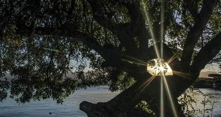 OPORT. Não é só uma casa, é um estilo de vida. É acordar todos os dias rodeado da natureza.