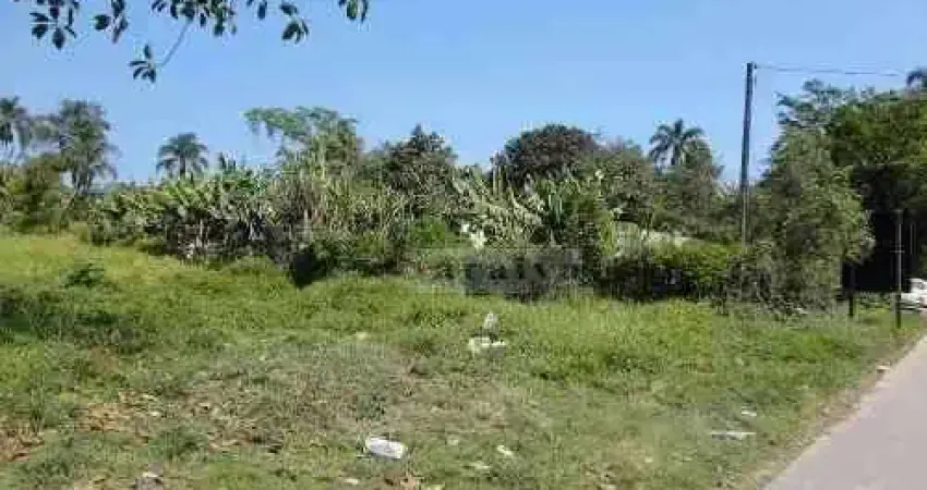 Terreno à venda, 5000 m² por R$ 1.700.000,00 - Jardim Ana Rosa (Palmeiras) - Suzano/SP