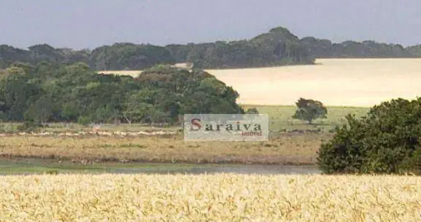 Fazenda à venda, 21620280 m² por R$ 450.000.000 - Centro - Paranapanema/SP