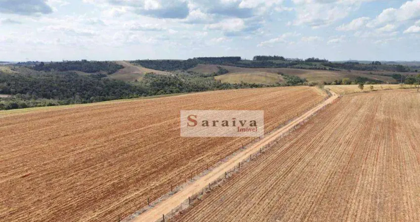 Fazenda à venda na Área Rural de Itapetininga, Itapetininga