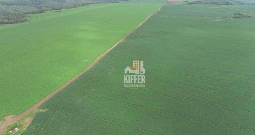 Fazenda com 4 dormitórios à venda, 12293600 m² por R$ 40.640.000,00 - Plano Diretor Sul - Palmas/TO