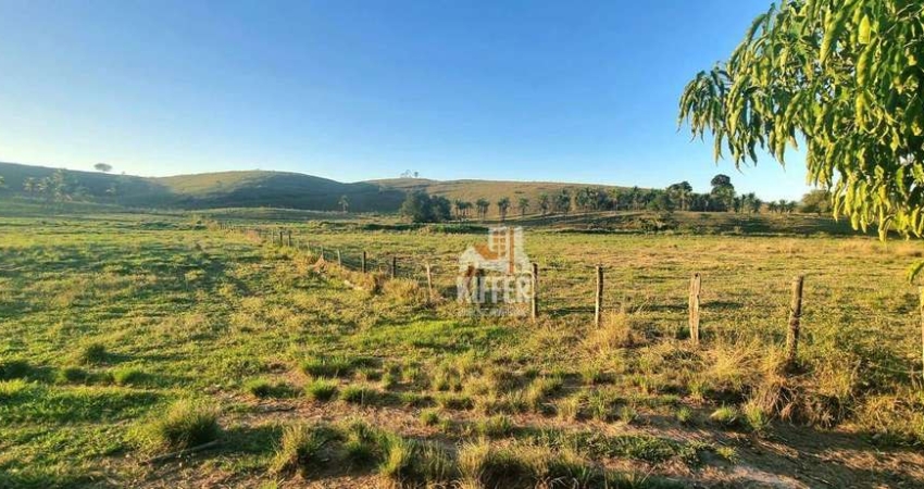 Fazenda com 3 dormitórios à venda, 1210000 m² por R$ 6.000.000,00 - Reginópolis - Silva Jardim/RJ