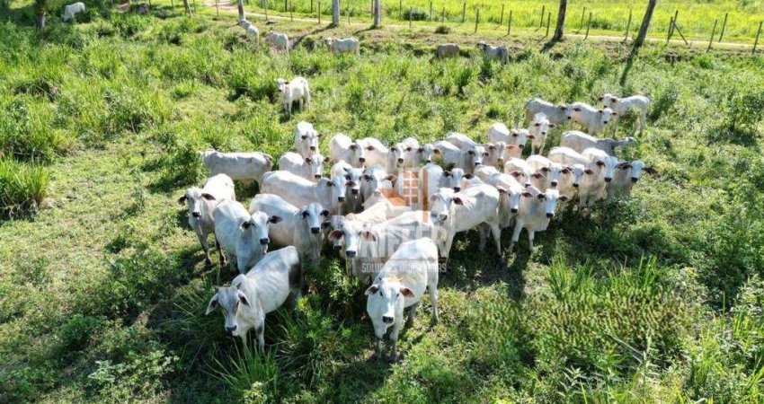 Fazenda com 3 à venda, 580000 m² por R$ 2.200.000 - Reginópolis - Silva Jardim/RJ