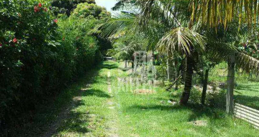 Chácara com 5 quartos à venda, 20000 m² por r$ 845000 - manoel ribeiro (ponta negra) - maricá/rj