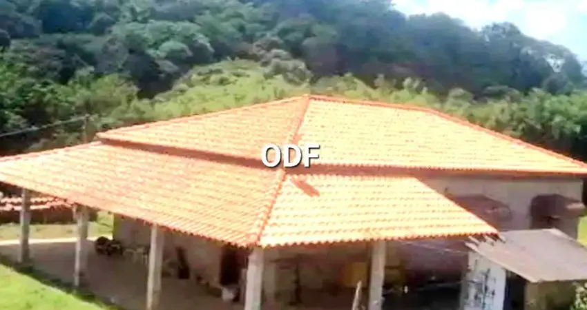Otimo sitio, rural  uma natureza magnífica, ótimo para criação de animais.