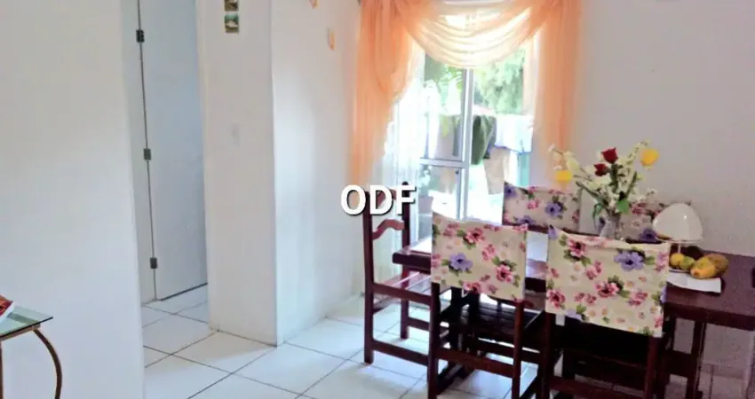 Lindo apto na praia de mongagua, 2 dorm, 2 elevadores, sacada ,