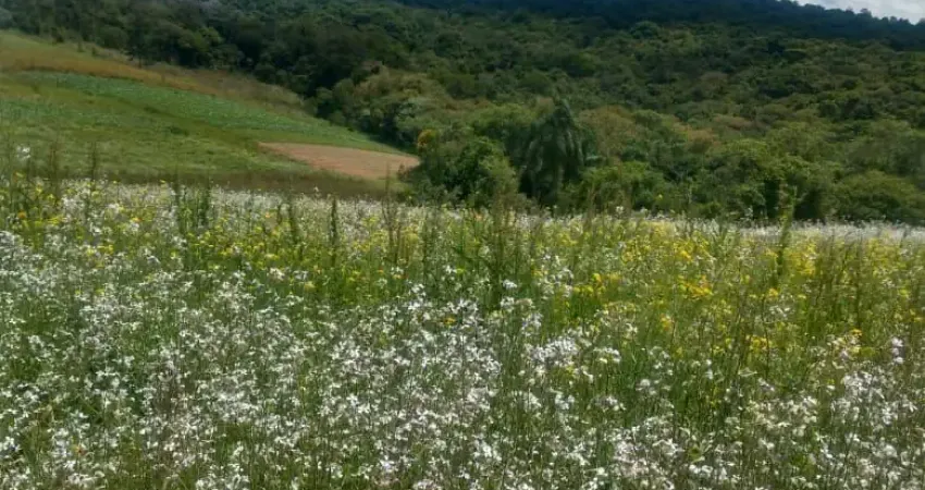 Chácara / sítio com 3 quartos à venda na Estrada Municipal da Cachoeira, 766, Cachoeira, Cotia