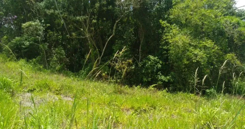 Chácara / sítio com 3 quartos à venda na Estrada Municipal da Cachoeira, 654, Cachoeira, Cotia