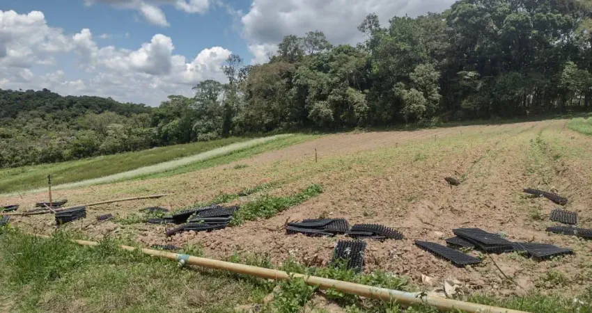 Terreno à venda na Estrada Municipal da Cachoeira, 9, Cachoeira, Cotia
