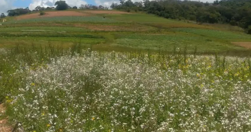 Chácara / sítio com 3 quartos à venda na Estrada Municipal da Cachoeira, 780, Cachoeira, Cotia