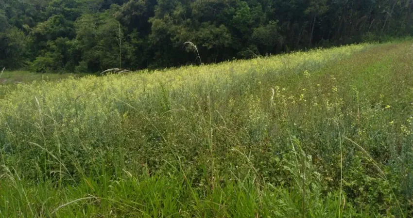 Chácara / sítio com 3 quartos à venda na Estrada Municipal da Cachoeira, 654, Cachoeira, Cotia
