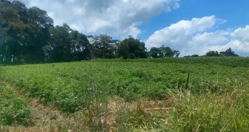 Terreno à venda na Estrada Municipal da Cachoeira, 9, Cachoeira, Cotia