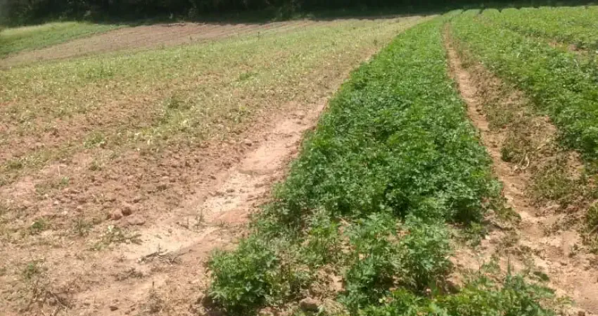 Terreno à venda na Estrada Municipal da Cachoeira, 472, Cachoeira, Cotia