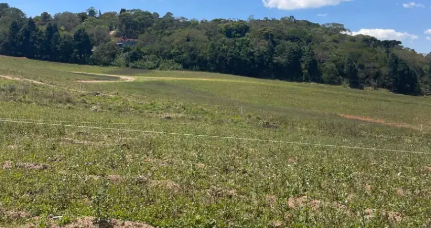 He terrenos de qualidade, ideais para casas de campo! confira as ofertas!