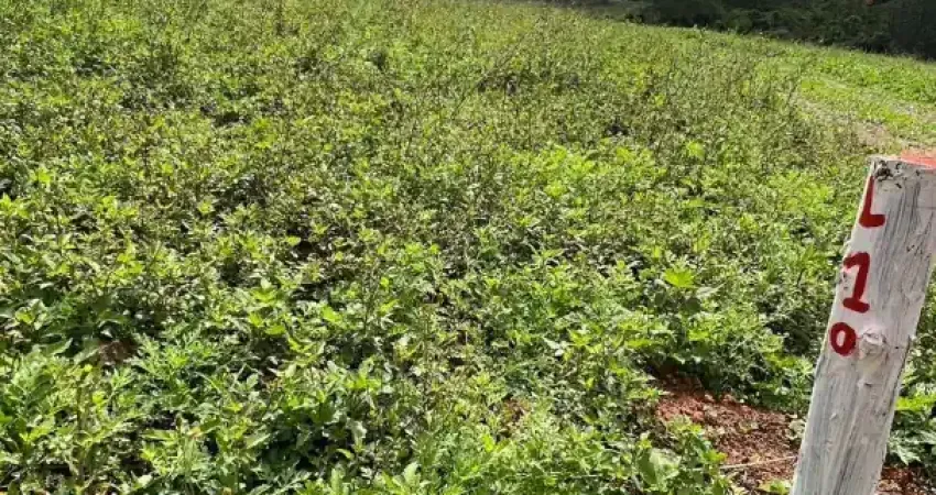 Terreno à venda na Rua Antonio Carlos Pires, 333, Recreio Topázio (Caucaia do Alto), Cotia