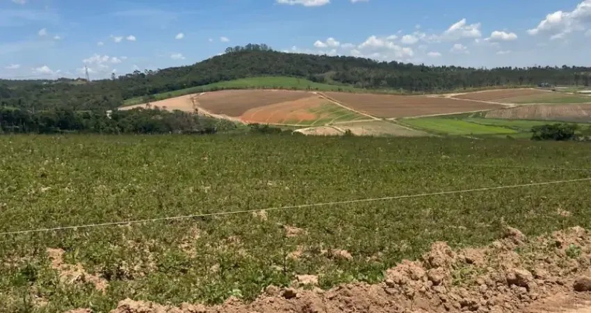 L1- oportunidades incríveis de ter seu tão sonhado lote em cotia!