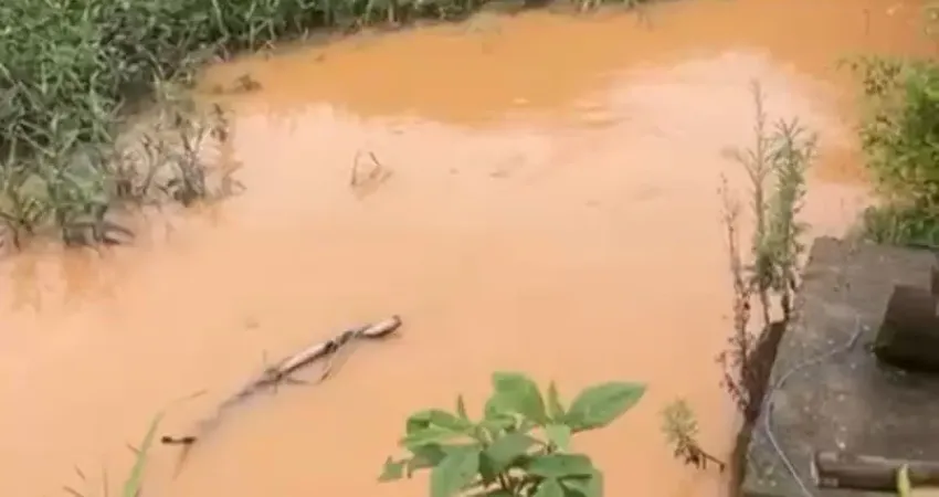 He terreno com nascente nos fundos e uma casa em 826m²! ótima localização!