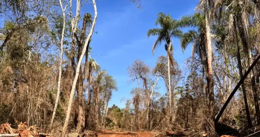 L1- lotes super planos venha conhecer e já compre o seu! corra e garanta.