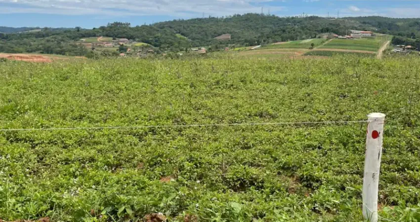 He terrenos lindos, perfeitos para o lazer da sua família! venha conhecer!