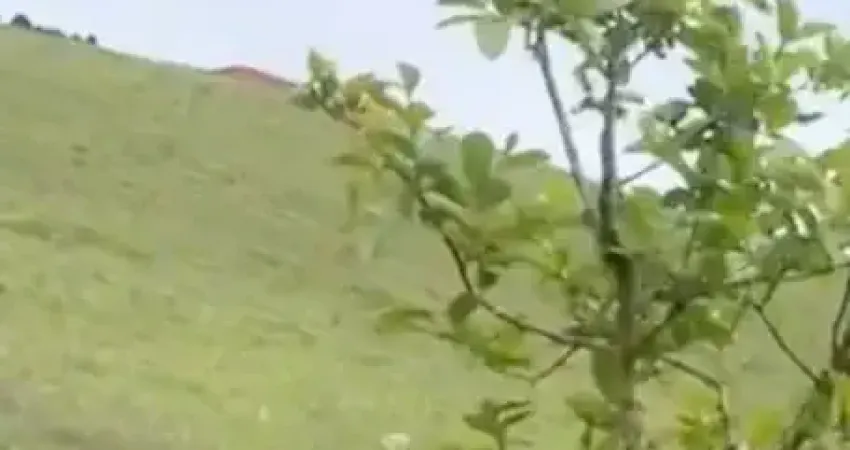 He ótimo terreno já com uma casa! negociação flexível! aproveite!