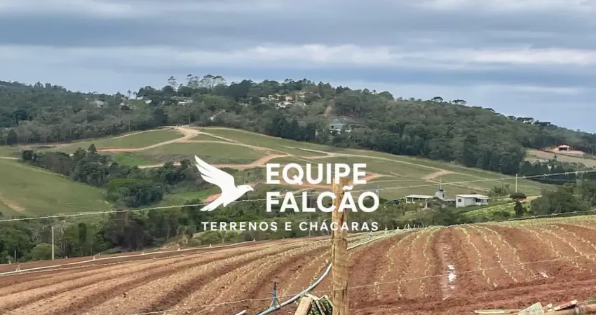 Terreno em cotia para projeto futuro. local tranquilo, ótimo para lazer e valorização.