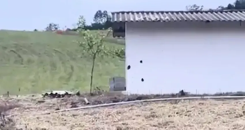 He terreno plano, amplo com casa ! aceitamos ofertas! agende uma visita,