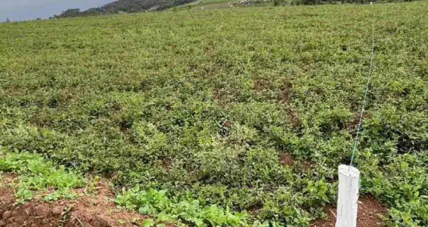 Terreno à venda na Rua Antonio Carlos Pires, 156, Recreio Topázio (Caucaia do Alto), Cotia